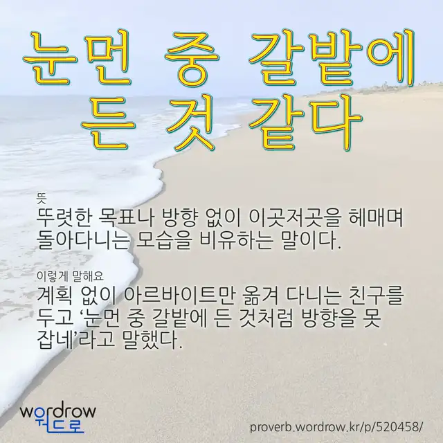 “눈먼 중 갈밭에 든 것 같다” 글씨와 뜻·예문이 완성된 속담 영상 포스터
