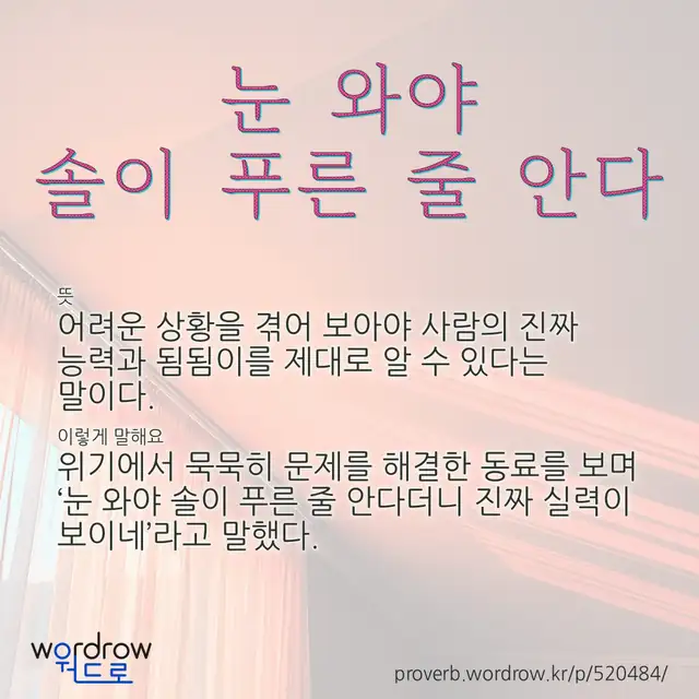 “눈 와야 솔이 푸른 줄 안다” 글씨와 뜻·예문이 완성된 속담 영상 포스터