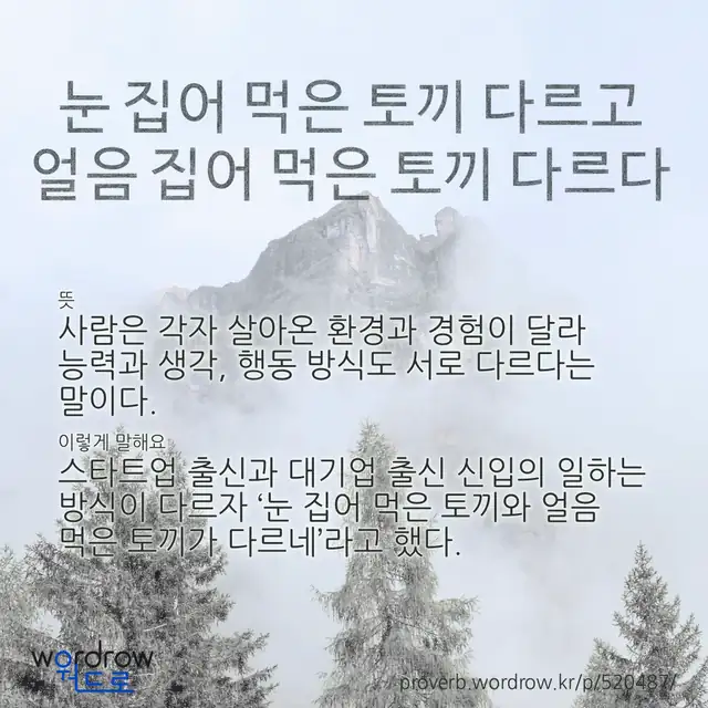 “눈 집어 먹은 토끼 다르고 얼음 집어 먹은 토끼 다르다” 글씨와 뜻·예문이 완성된 속담 영상 포스터