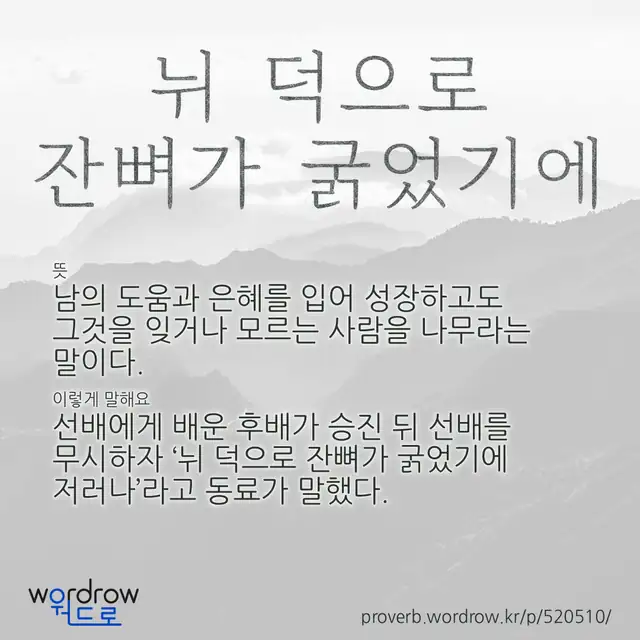 “뉘 덕으로 잔뼈가 굵었기에” 글씨와 뜻·예문이 완성된 속담 영상 포스터