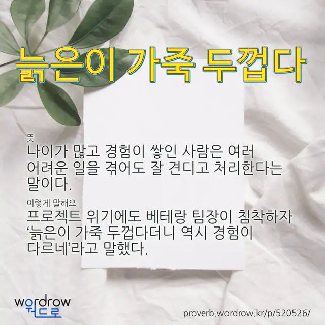 “늙은이 가죽 두껍다” 글씨와 뜻·예문이 완성된 속담 영상 포스터