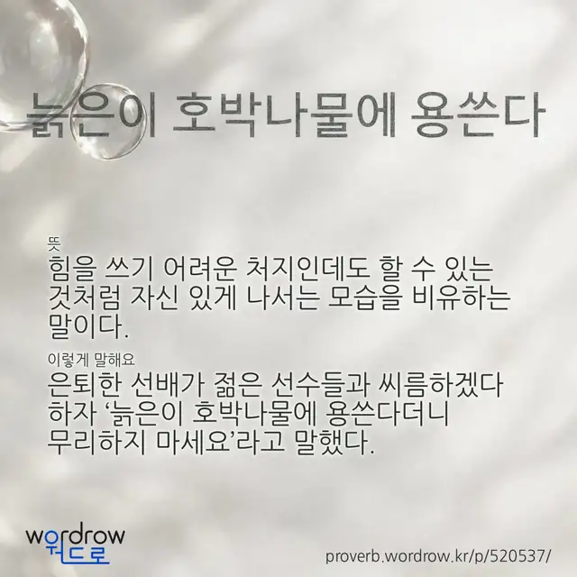 “늙은이 호박나물에 용쓴다” 글씨와 뜻·예문이 완성된 속담 영상 포스터