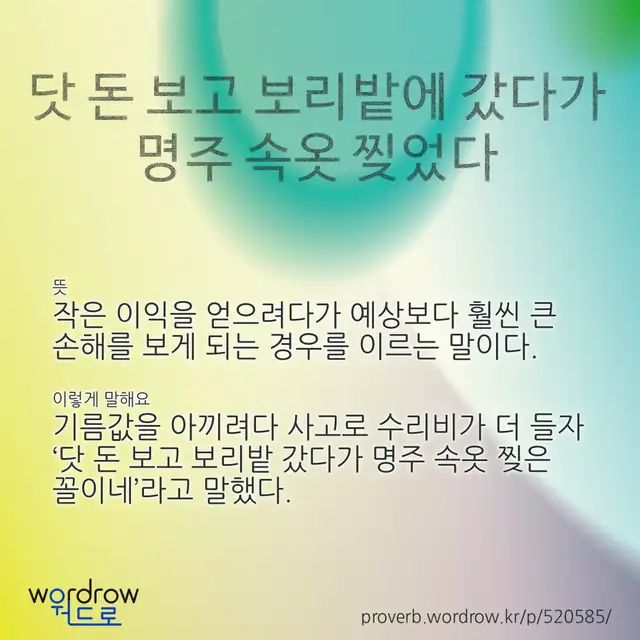 “닷 돈 보고 보리밭에 갔다가 명주 속옷 찢었다” 글씨와 뜻·예문이 완성된 속담 영상 포스터