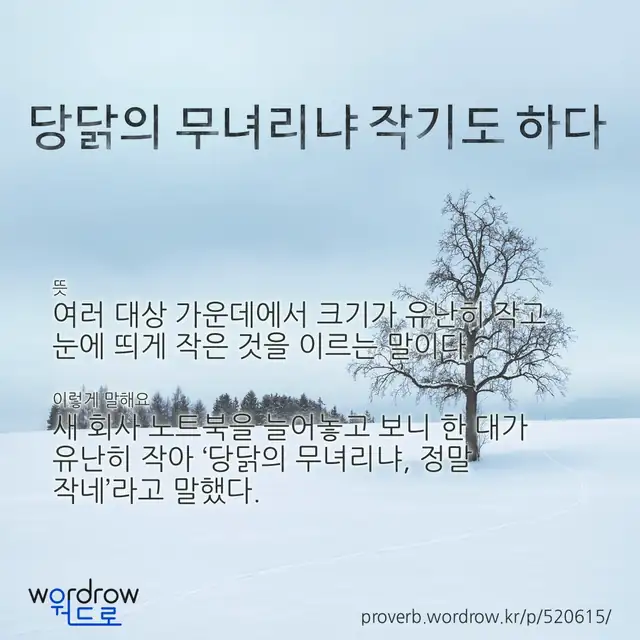 “당닭의 무녀리냐 작기도 하다” 글씨와 뜻·예문이 완성된 속담 영상 포스터