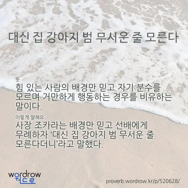 “대신 집 강아지 범 무서운 줄 모른다” 글씨와 뜻·예문이 완성된 속담 영상 포스터