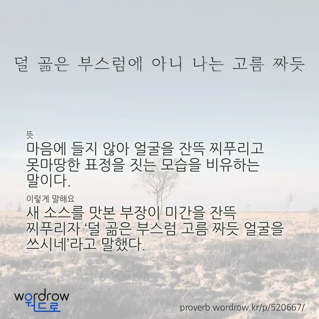 “덜 곪은 부스럼에 아니 나는 고름 짜듯” 글씨와 뜻·예문이 완성된 속담 영상 포스터