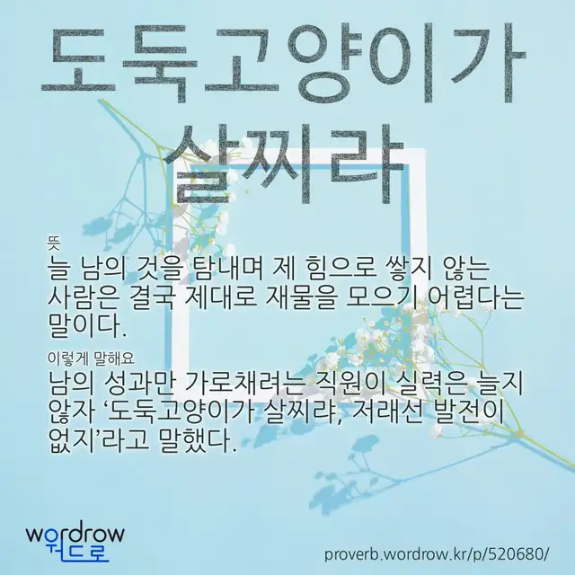 “도둑고양이가 살찌랴” 글씨와 뜻·예문이 완성된 속담 영상 포스터