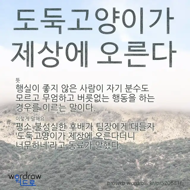 “도둑고양이가 제상에 오른다” 글씨와 뜻·예문이 완성된 속담 영상 포스터