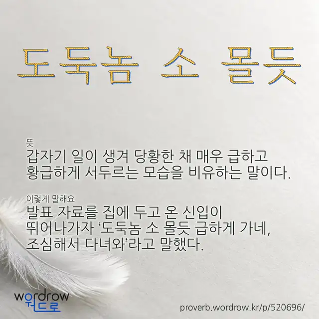 “도둑놈 소 몰듯” 글씨와 뜻·예문이 완성된 속담 영상 포스터