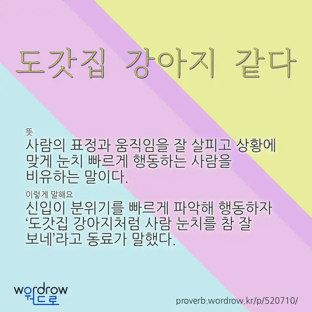“도갓집 강아지 같다” 글씨와 뜻·예문이 완성된 속담 영상 포스터