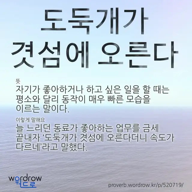 “도둑개가 겻섬에 오른다” 글씨와 뜻·예문이 완성된 속담 영상 포스터