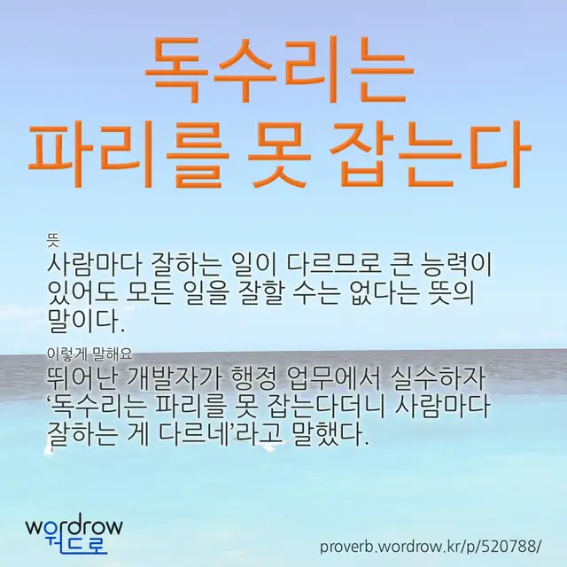 “독수리는 파리를 못 잡는다” 글씨와 뜻·예문이 완성된 속담 영상 포스터