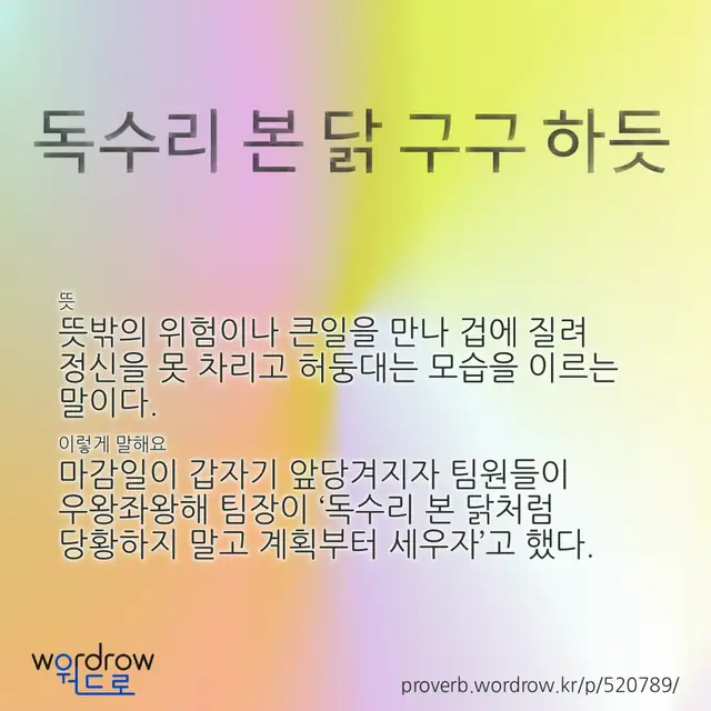 “독수리 본 닭 구구 하듯” 글씨와 뜻·예문이 완성된 속담 영상 포스터