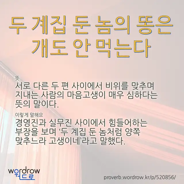 “두 계집 둔 놈의 똥은 개도 안 먹는다” 글씨와 뜻·예문이 완성된 속담 영상 포스터