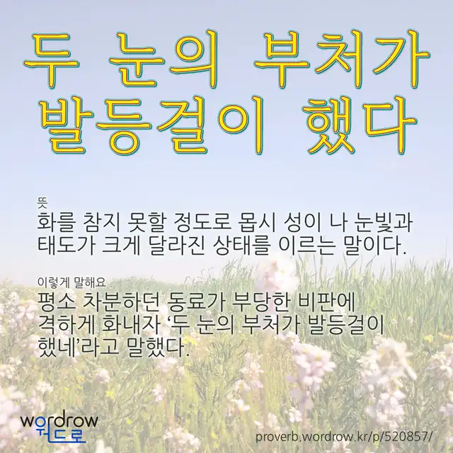 “두 눈의 부처가 발등걸이 했다” 글씨와 뜻·예문이 완성된 속담 영상 포스터