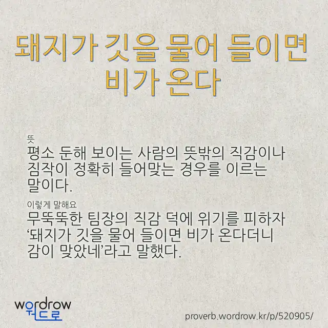 “돼지가 깃을 물어 들이면 비가 온다” 글씨와 뜻·예문이 완성된 속담 영상 포스터