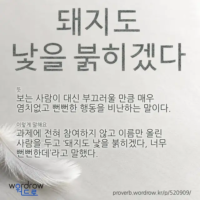 “돼지도 낯을 붉히겠다” 글씨와 뜻·예문이 완성된 속담 영상 포스터