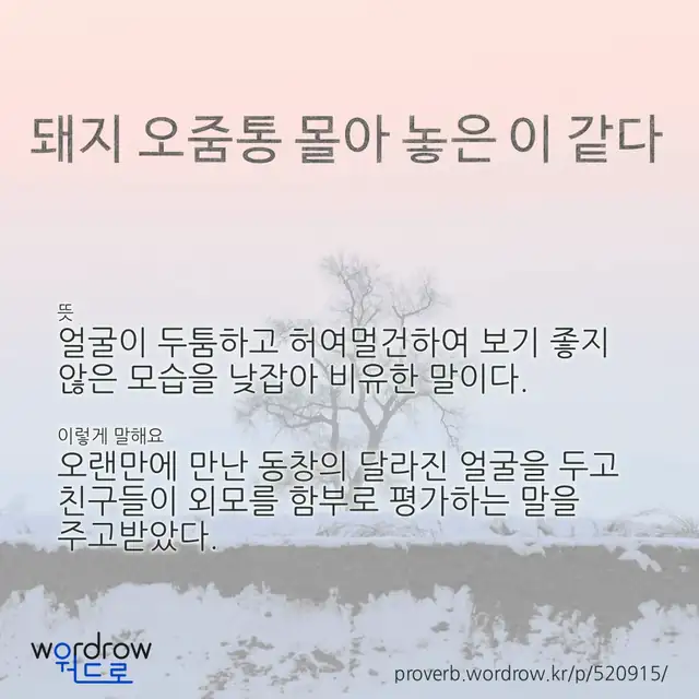 “돼지 오줌통 몰아 놓은 이 같다” 글씨와 뜻·예문이 완성된 속담 영상 포스터