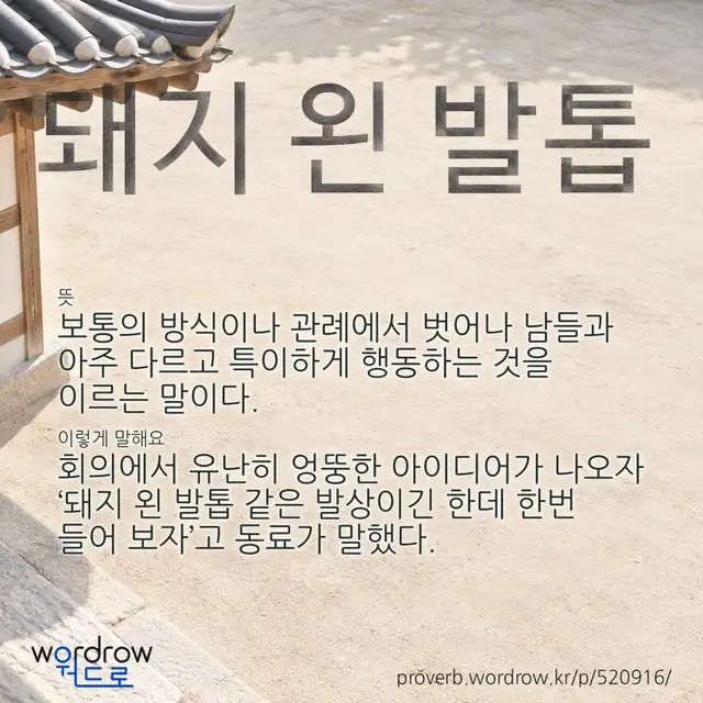 “돼지 왼 발톱” 글씨와 뜻·예문이 완성된 속담 영상 포스터