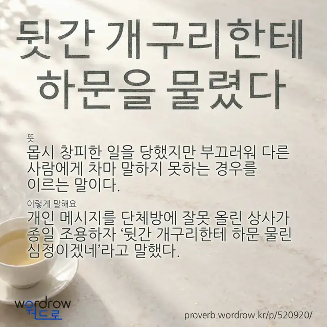 “뒷간 개구리한테 하문을 물렸다” 글씨와 뜻·예문이 완성된 속담 영상 포스터