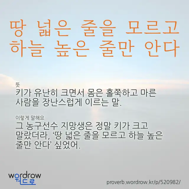 “땅 넓은 줄을 모르고 하늘 높은 줄만 안다” 글씨와 뜻·예문이 완성된 속담 영상 포스터