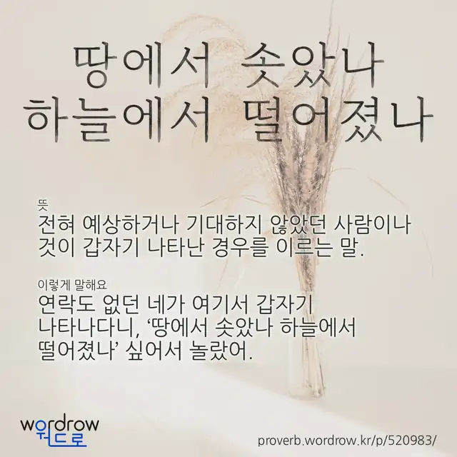 “땅에서 솟았나 하늘에서 떨어졌나” 글씨와 뜻·예문이 완성된 속담 영상 포스터