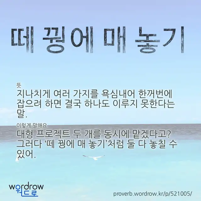 “떼 꿩에 매 놓기” 글씨와 뜻·예문이 완성된 속담 영상 포스터
