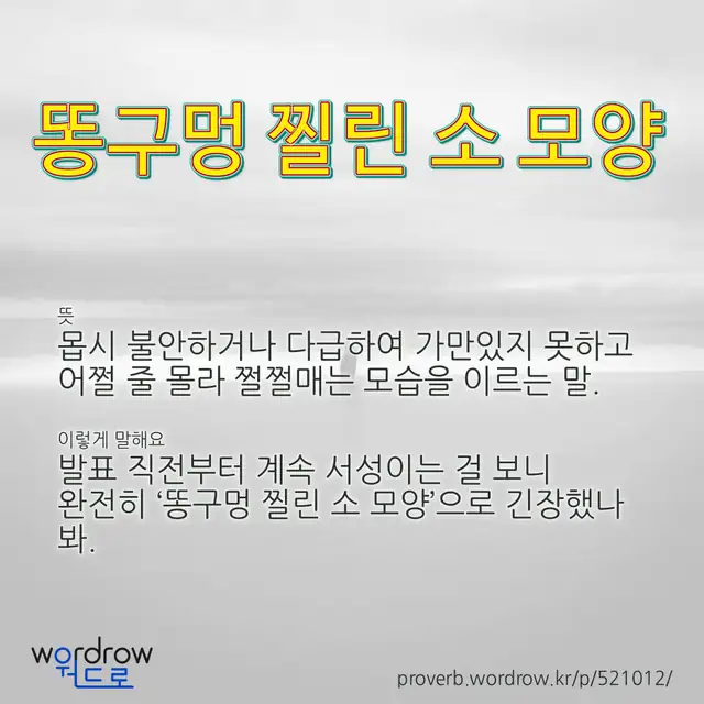 “똥구멍 찔린 소 모양” 글씨와 뜻·예문이 완성된 속담 영상 포스터