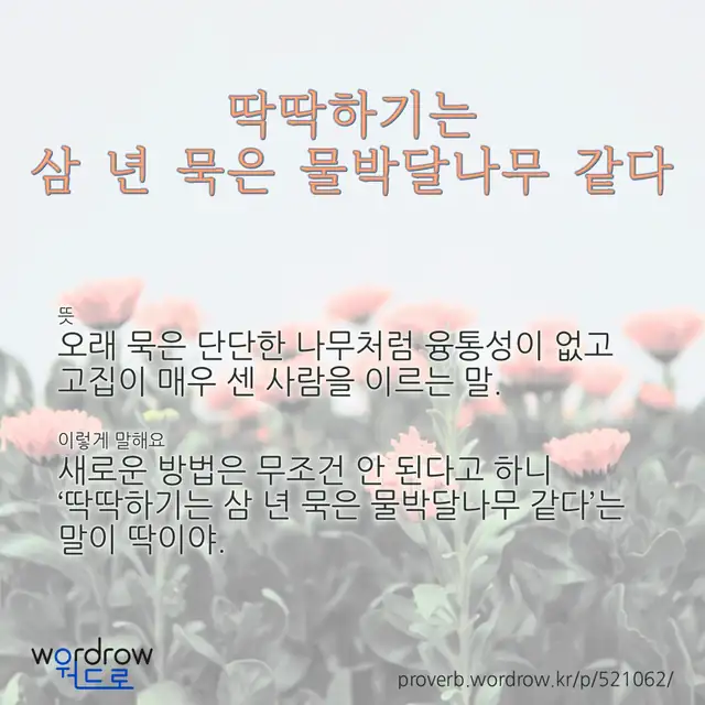 “딱딱하기는 삼 년 묵은 물박달나무 같다” 글씨와 뜻·예문이 완성된 속담 영상 포스터
