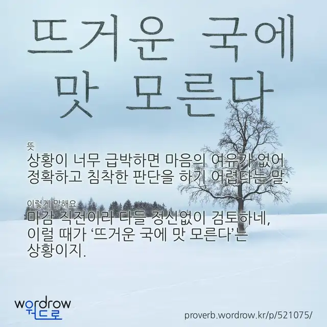“뜨거운 국에 맛 모른다” 글씨와 뜻·예문이 완성된 속담 영상 포스터