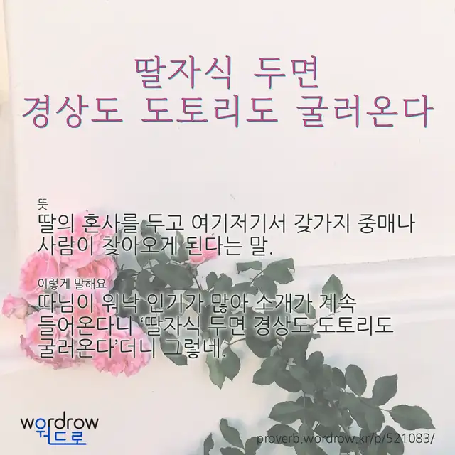 “딸자식 두면 경상도 도토리도 굴러온다” 글씨와 뜻·예문이 완성된 속담 영상 포스터
