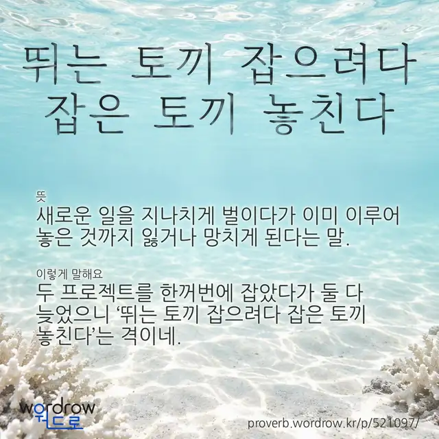 “뛰는 토끼 잡으려다 잡은 토끼 놓친다” 글씨와 뜻·예문이 완성된 속담 영상 포스터