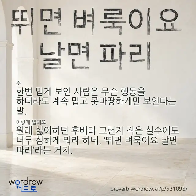 “뛰면 벼룩이요 날면 파리” 글씨와 뜻·예문이 완성된 속담 영상 포스터