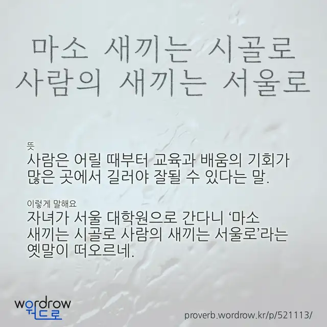 “마소 새끼는 시골로 사람의 새끼는 서울로” 글씨와 뜻·예문이 완성된 속담 영상 포스터