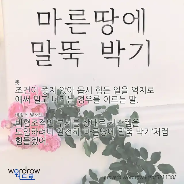 “마른땅에 말뚝 박기” 글씨와 뜻·예문이 완성된 속담 영상 포스터