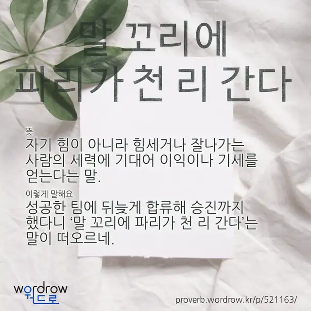 “말 꼬리에 파리가 천 리 간다” 글씨와 뜻·예문이 완성된 속담 영상 포스터