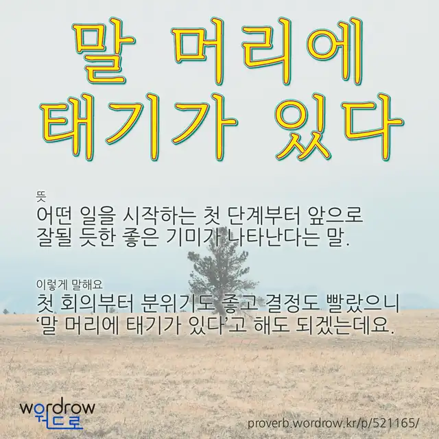 “말 머리에 태기가 있다” 글씨와 뜻·예문이 완성된 속담 영상 포스터