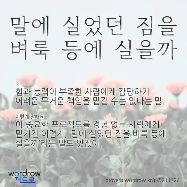 “말에 실었던 짐을 벼룩 등에 실을까” 글씨와 뜻·예문이 완성된 속담 영상 포스터