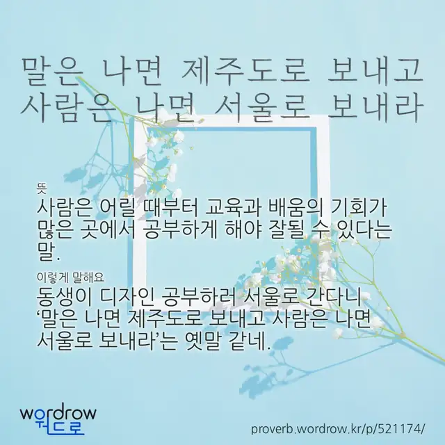 “말은 나면 제주도로 보내고 사람은 나면 서울로 보내라” 글씨와 뜻·예문이 완성된 속담 영상 포스터