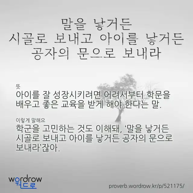 “말을 낳거든 시골로 보내고 아이를 낳거든 공자의 문으로 보내라” 글씨와 뜻·예문이 완성된 속담 영상 포스터