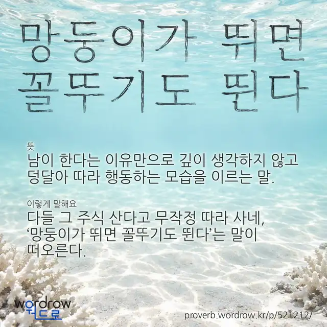“망둥이가 뛰면 꼴뚜기도 뛴다” 글씨와 뜻·예문이 완성된 속담 영상 포스터
