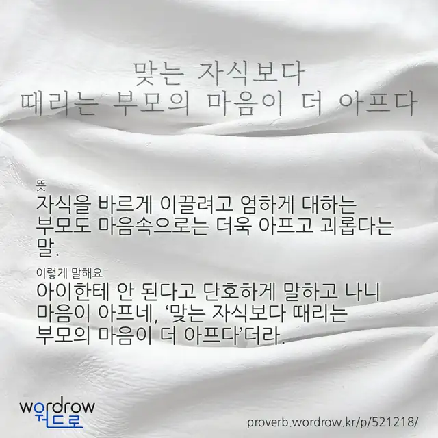 “맞는 자식보다 때리는 부모의 마음이 더 아프다” 글씨와 뜻·예문이 완성된 속담 영상 포스터