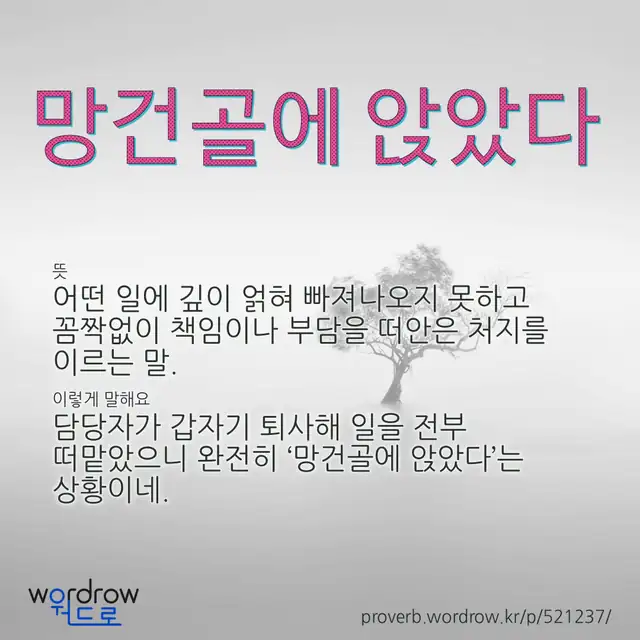 “망건골에 앉았다” 글씨와 뜻·예문이 완성된 속담 영상 포스터