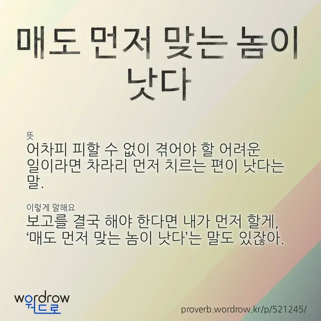 “매도 먼저 맞는 놈이 낫다” 글씨와 뜻·예문이 완성된 속담 영상 포스터