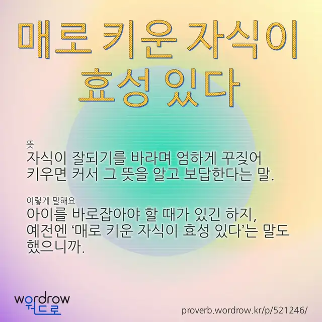 “매로 키운 자식이 효성 있다” 글씨와 뜻·예문이 완성된 속담 영상 포스터