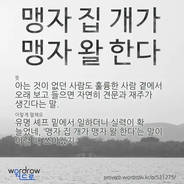 “맹자 집 개가 맹자 왈 한다” 글씨와 뜻·예문이 완성된 속담 영상 포스터