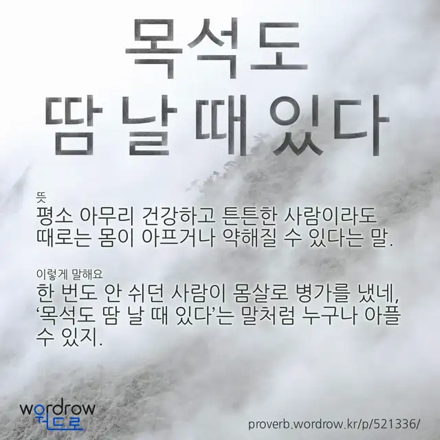 “목석도 땀 날 때 있다” 글씨와 뜻·예문이 완성된 속담 영상 포스터