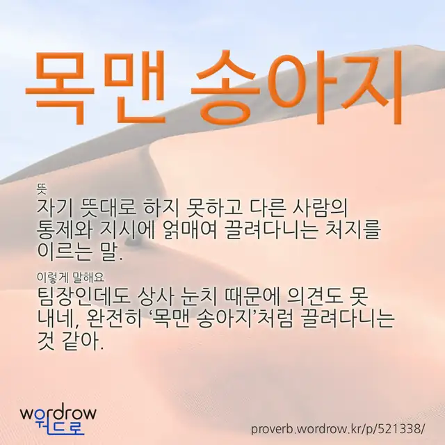 “목맨 송아지” 글씨와 뜻·예문이 완성된 속담 영상 포스터