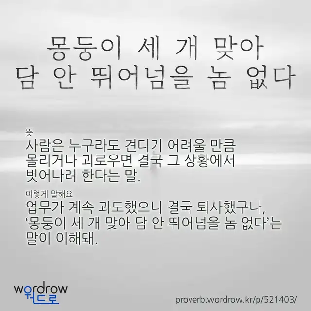 “몽둥이 세 개 맞아 담 안 뛰어넘을 놈 없다” 글씨와 뜻·예문이 완성된 속담 영상 포스터