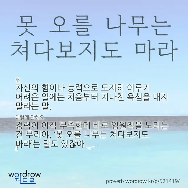 “못 오를 나무는 쳐다보지도 마라” 글씨와 뜻·예문이 완성된 속담 영상 포스터